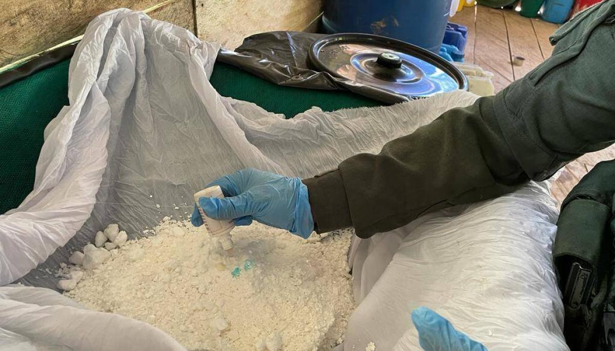 Cocaína incautada por las autoridades. 