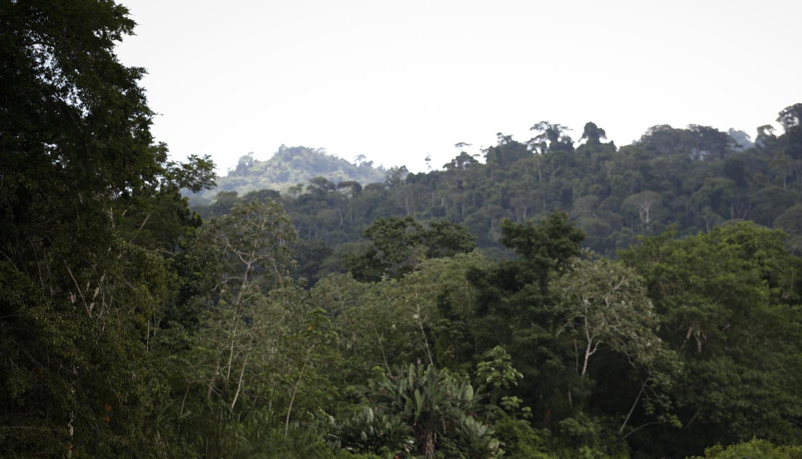 Migrantes cruzan el río Turquesa el 14 de septiembre de 2023 en Darién (Panamá)