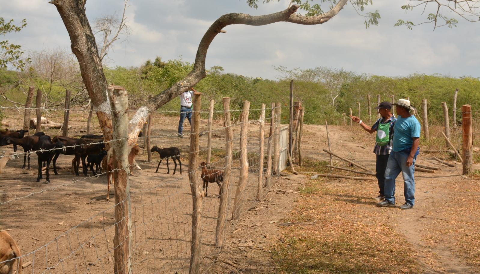 Entrega predios Baranoa, Atlántico.