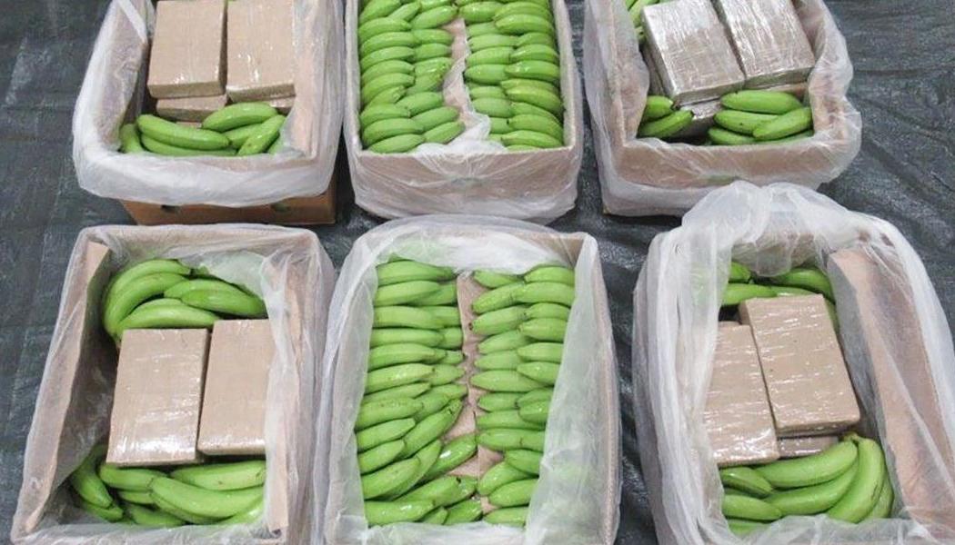 La cocaína iba camuflada en cajas llenas de guineo verde. 