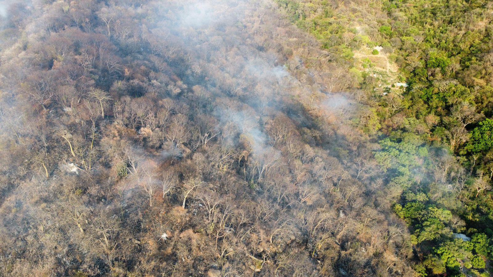 No se tiene control del incendio debido a la amplia zona boscosa.