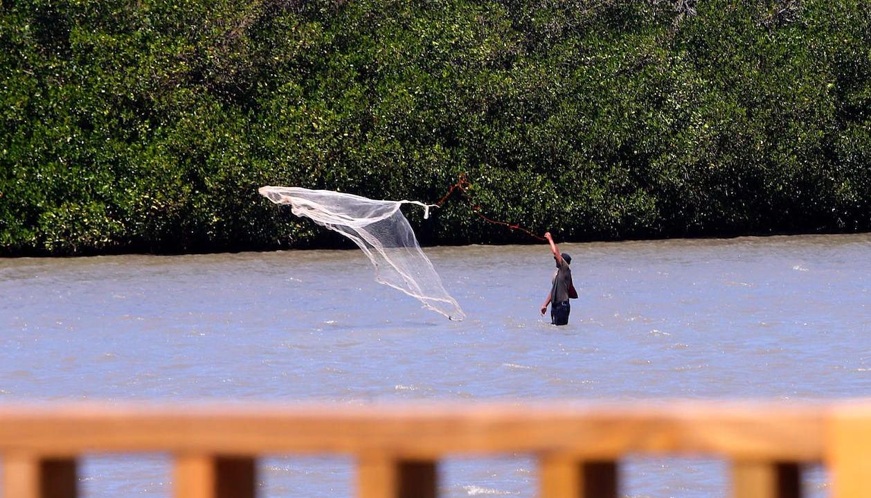C.R.A. pidió a pescadores reportar anomalías.