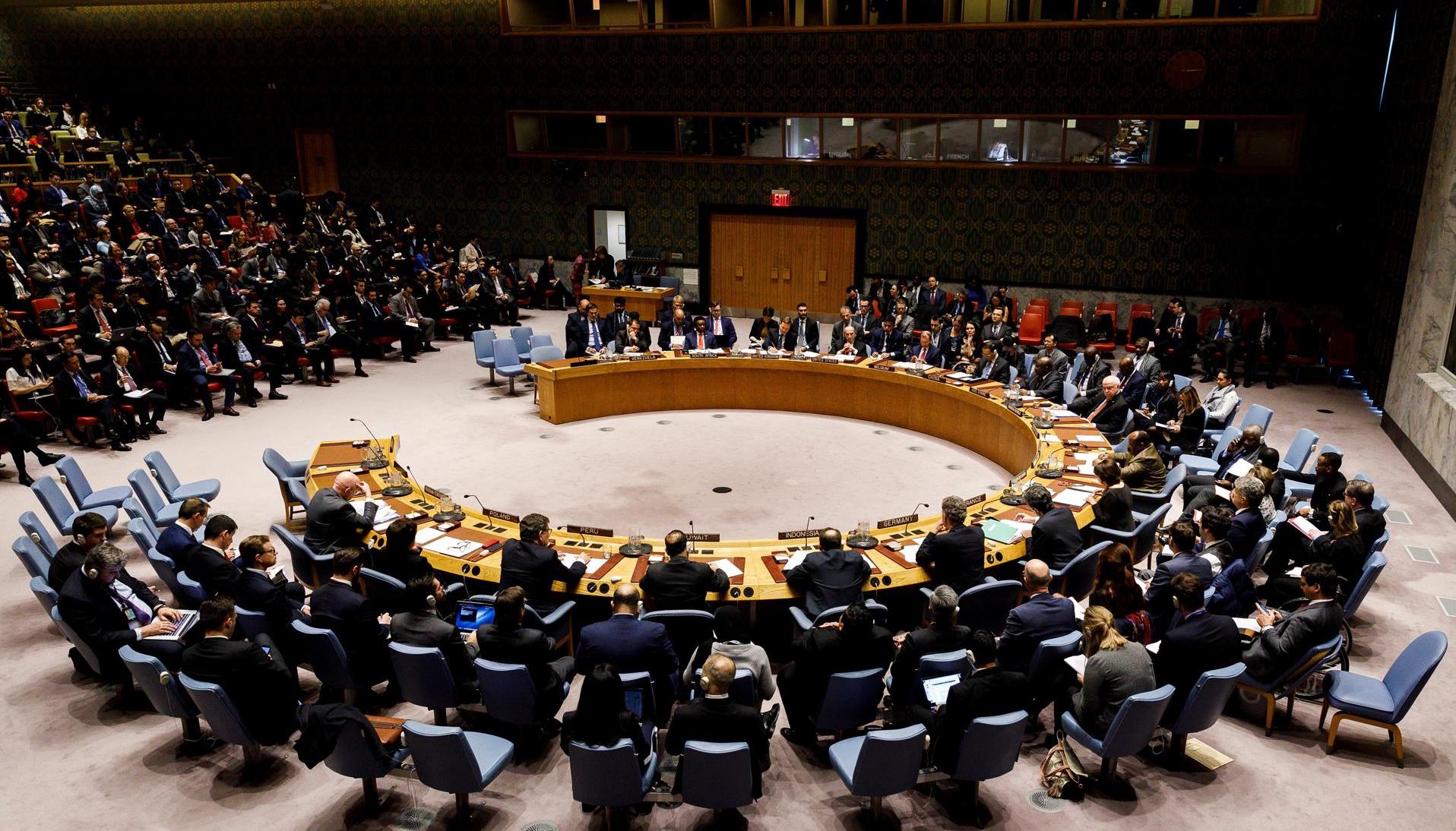 Consejo de Seguridad de la ONU.