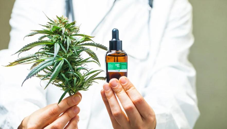 Foto referencia de cannabis medicinal