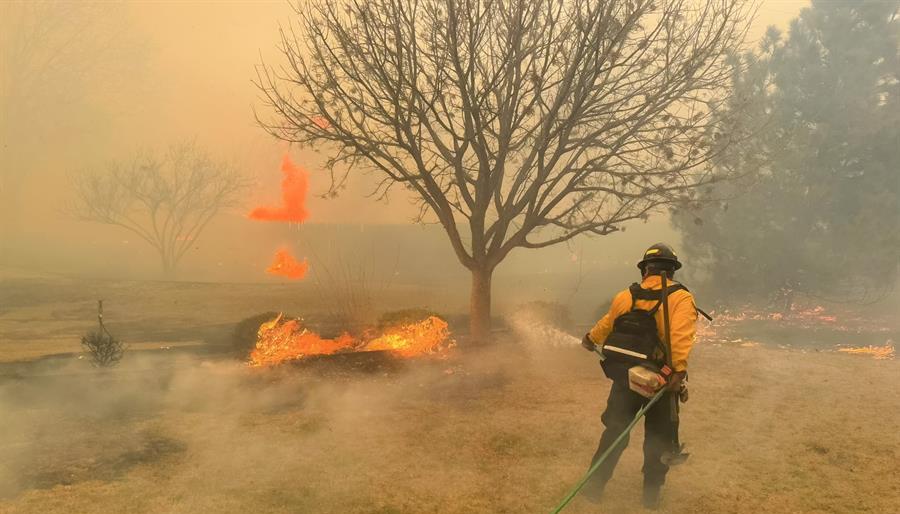 Las autoridades no han determinado el origen de estos incendios.
