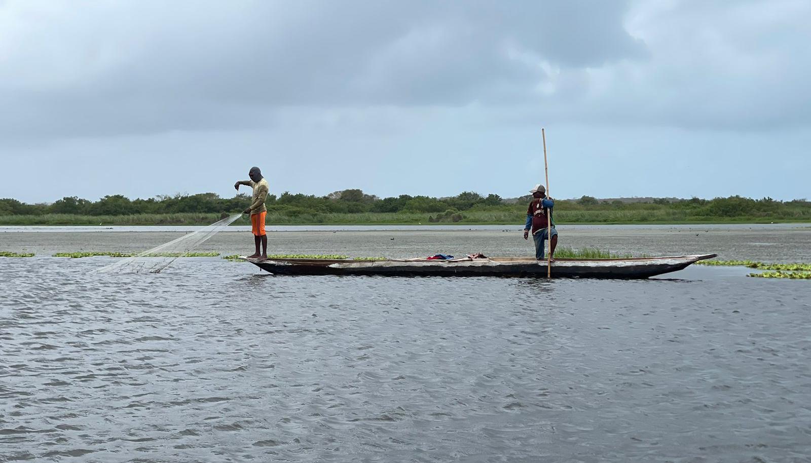 La presencia de plantas acuáticas plantas acuáticas que están afectan la navegación, la pesca y otras actividades náuticas en la Ciénaga del Totumo