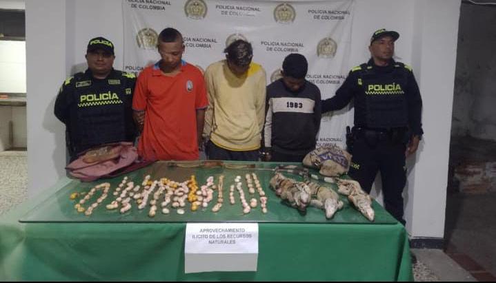 Los detenidos pretendían comercializar los huevos de iguana a los habitantes del municipio.