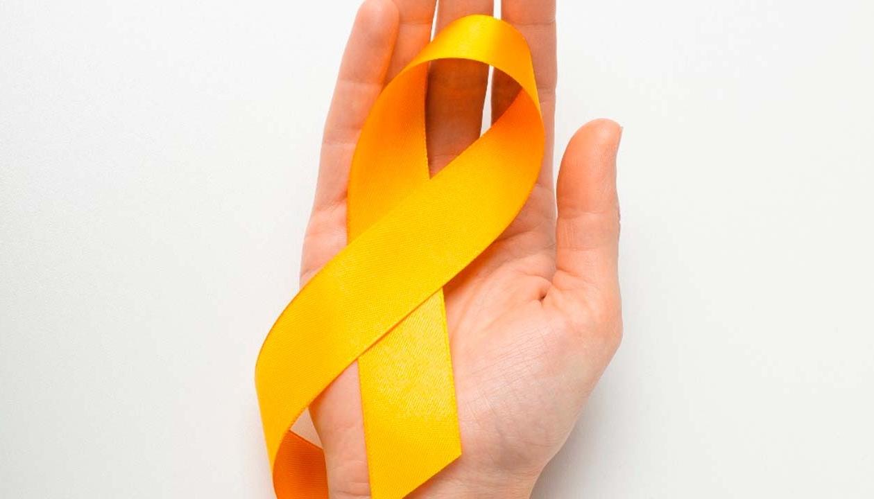 Gobernadores y alcaldes deben priorizar programas para prevenir la conducta suicida