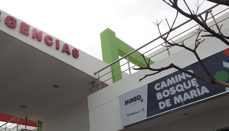 Camino El Bosque