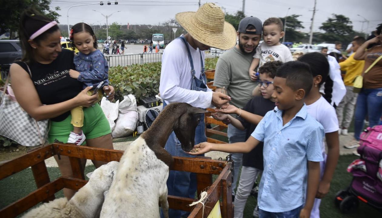 Los niños pudieron interactuar con los animales. 