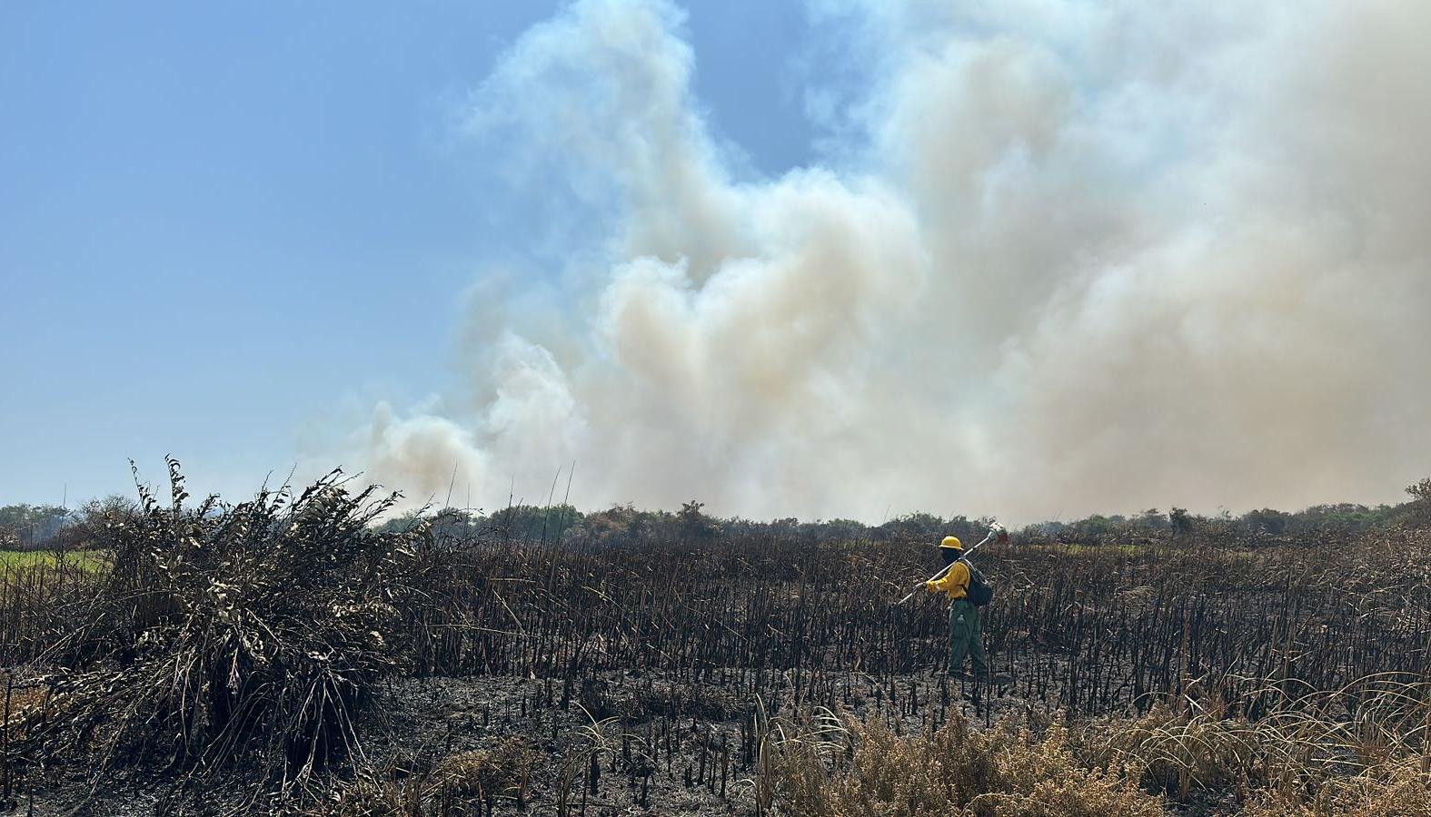 Entidades atienden el incendio forestal.