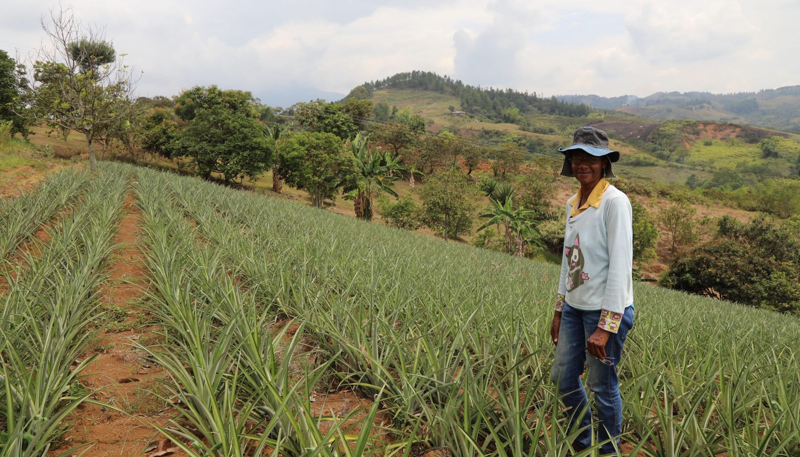 Imagen referencia entrega de tierras en el Cauca.