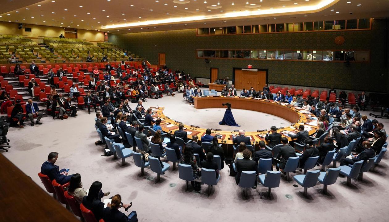 Consejo de Seguridad de la ONU.