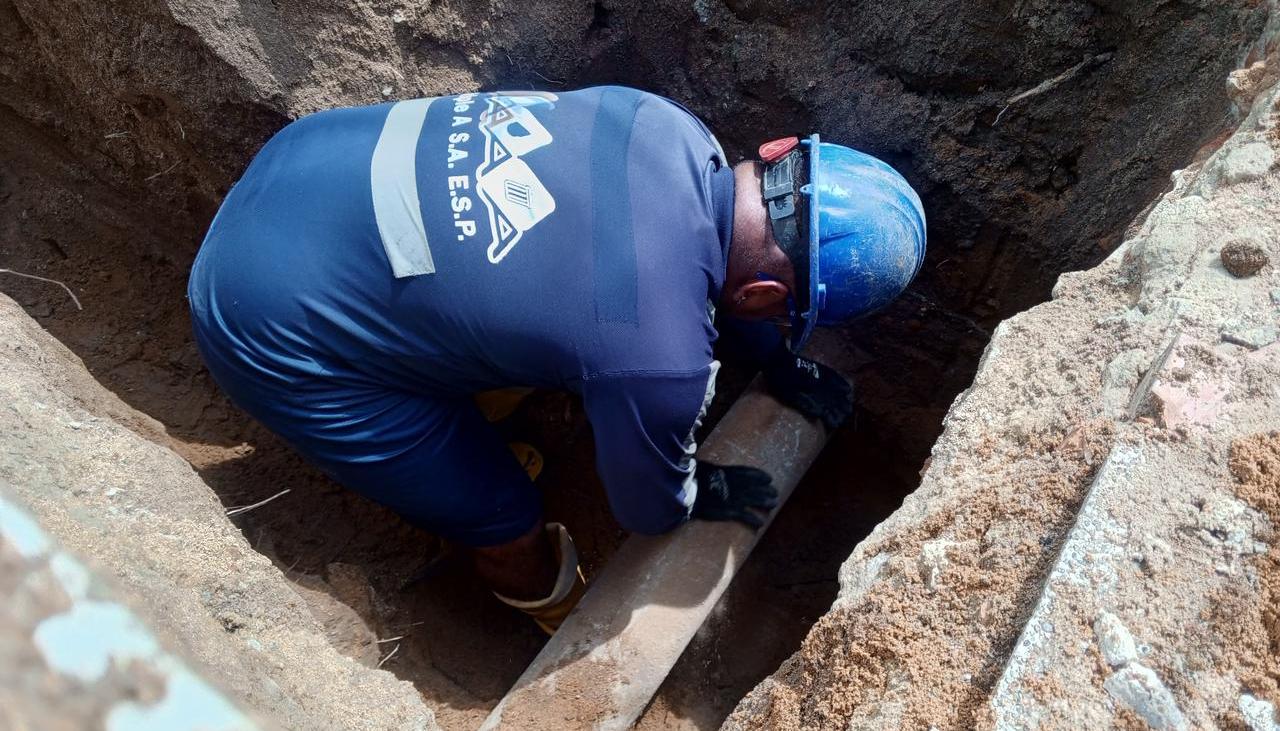 Más de 20 operarios trabajan de manera conjunta.