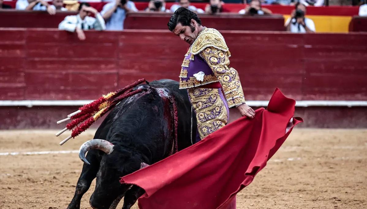 Corrida de toros,  novilladas y el rejoneo quedan prohibidos. 