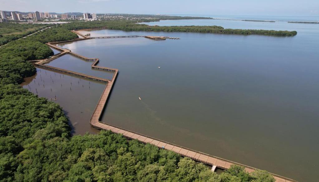 Ciénaga de Mallorquín en Barranquilla