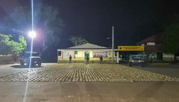 Marihuana Incautada. 