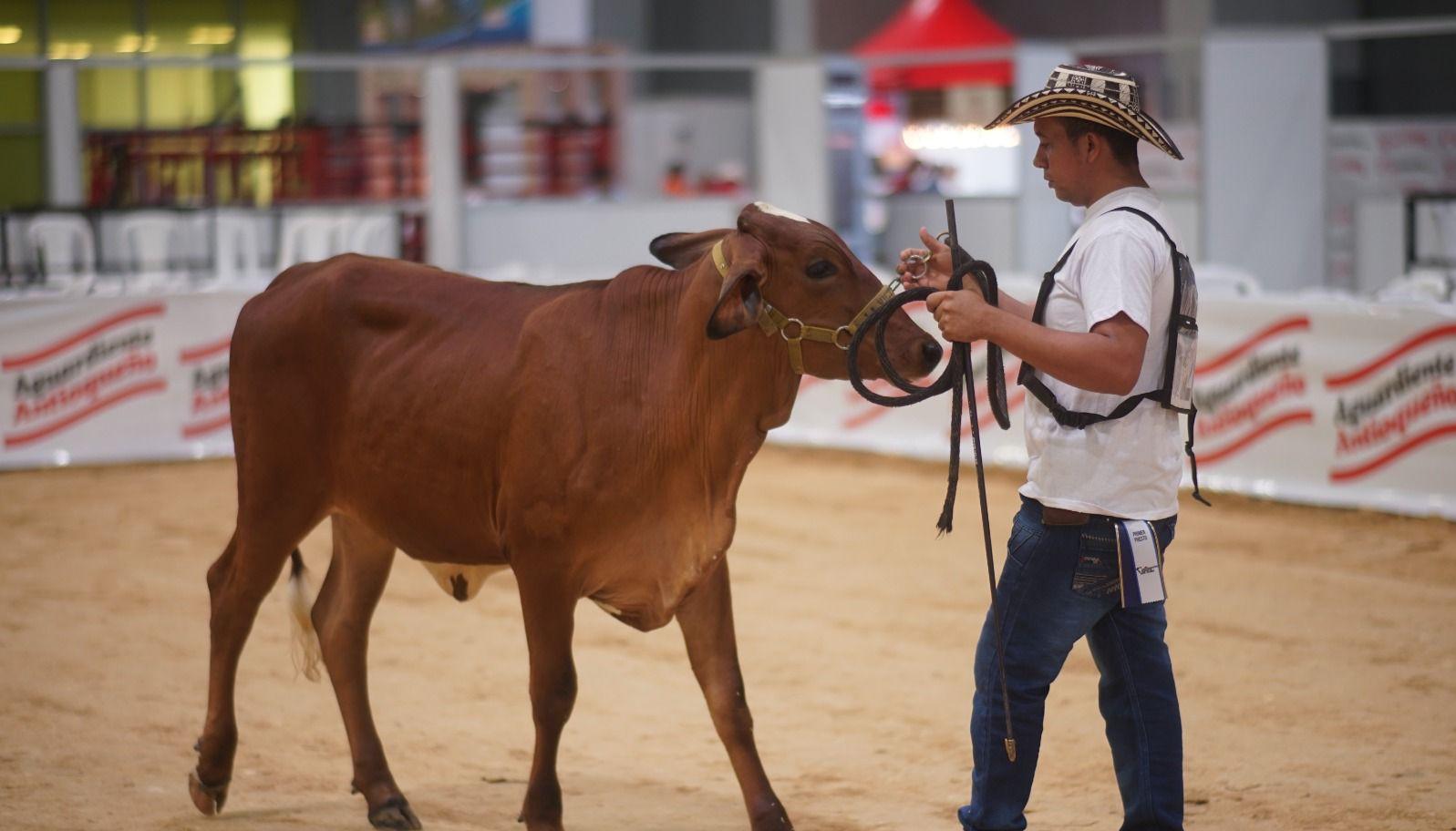 La feria principal del sector agropecuario.