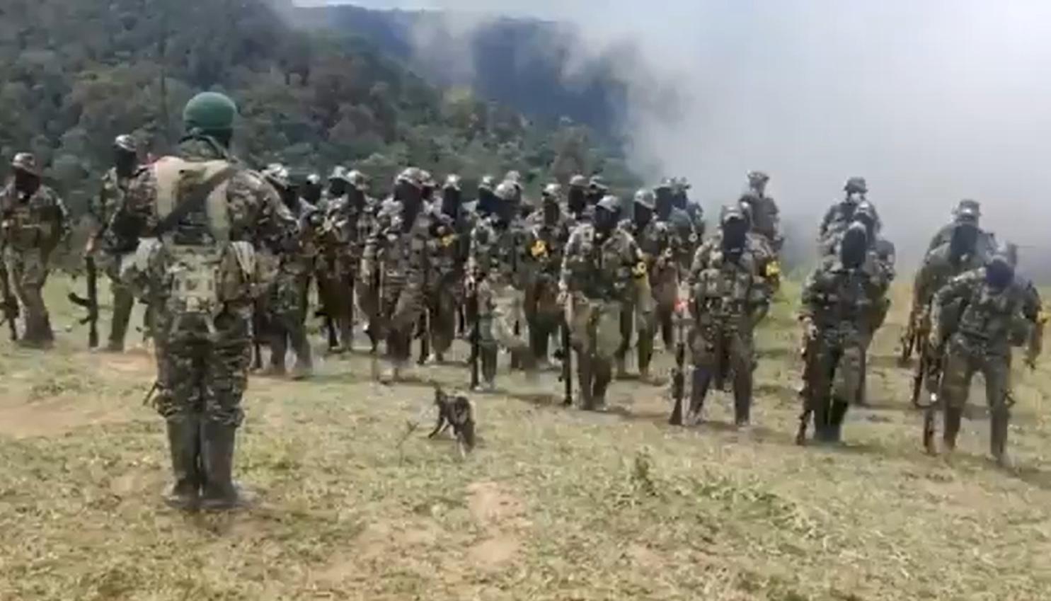 Autodefensas Conquistadores de la Sierra Nevada. 