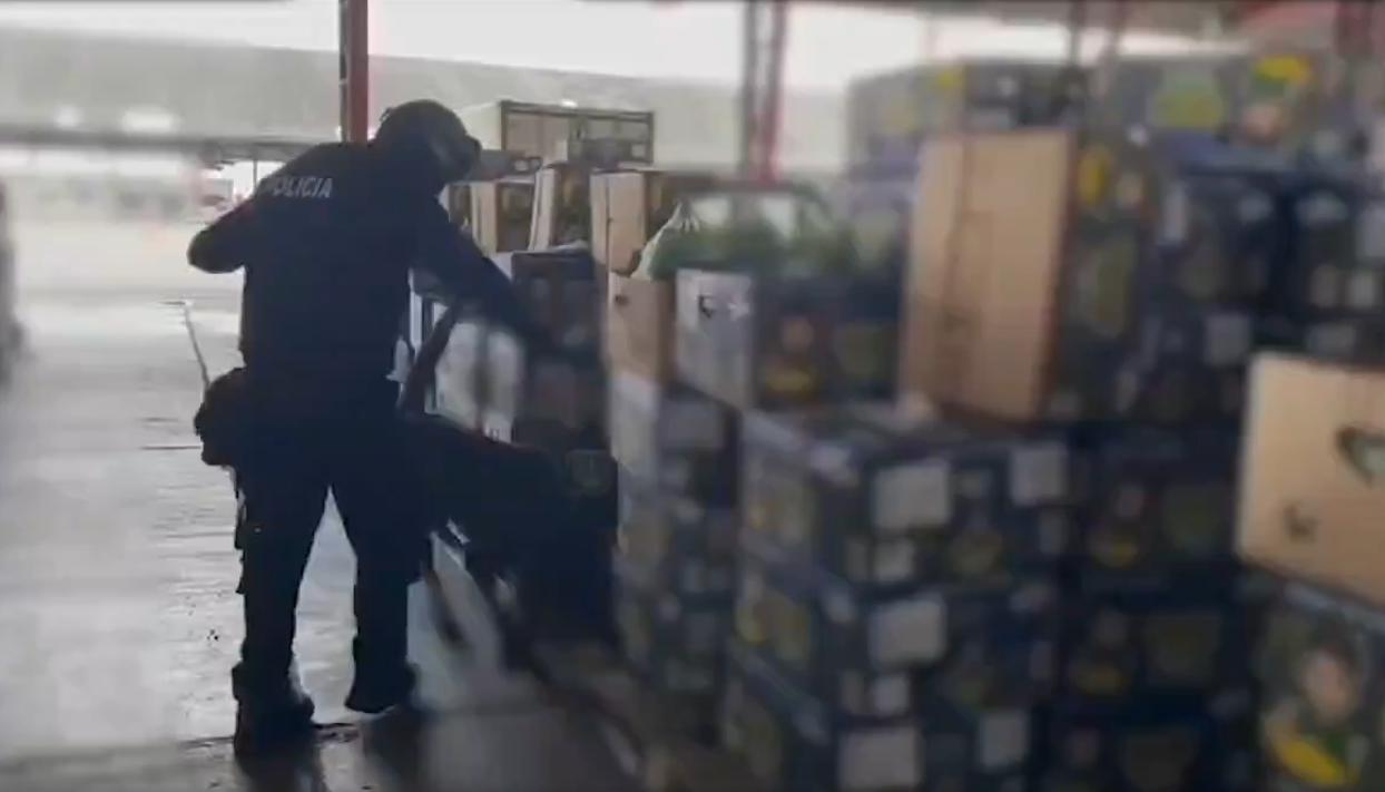 Droga incautada por la Policía de Ecuador. 