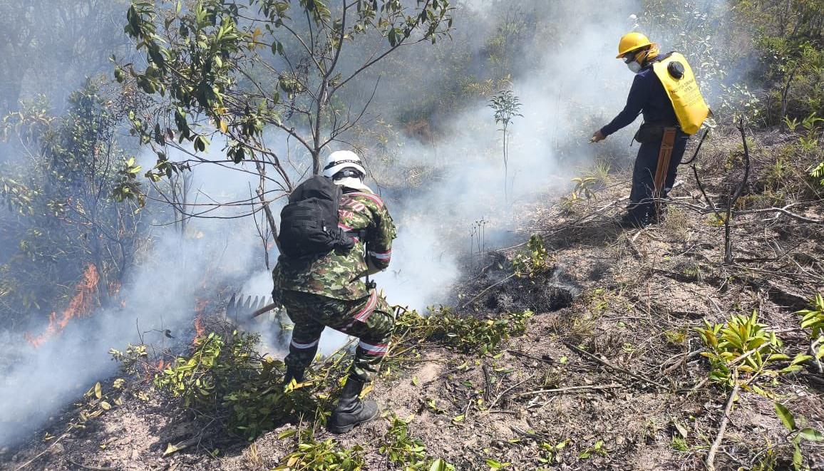 Bomberos apagando el incendio.