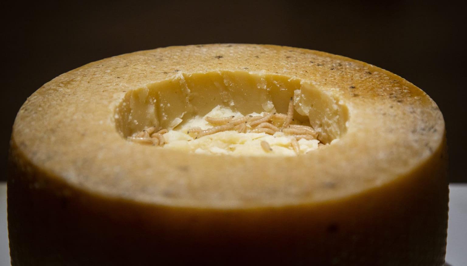 Cazu Marzu, un queso Pecorino de Cerdeña con un hueco en el centro, lleno de gusanos vivos.