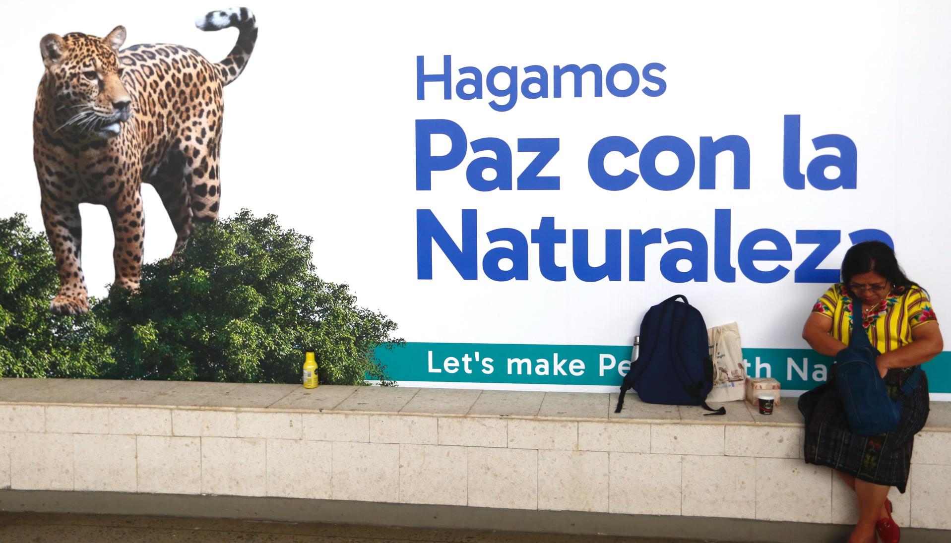 Una mujer indígena asiste a la Zona Azul de la COP16, en Cali. 