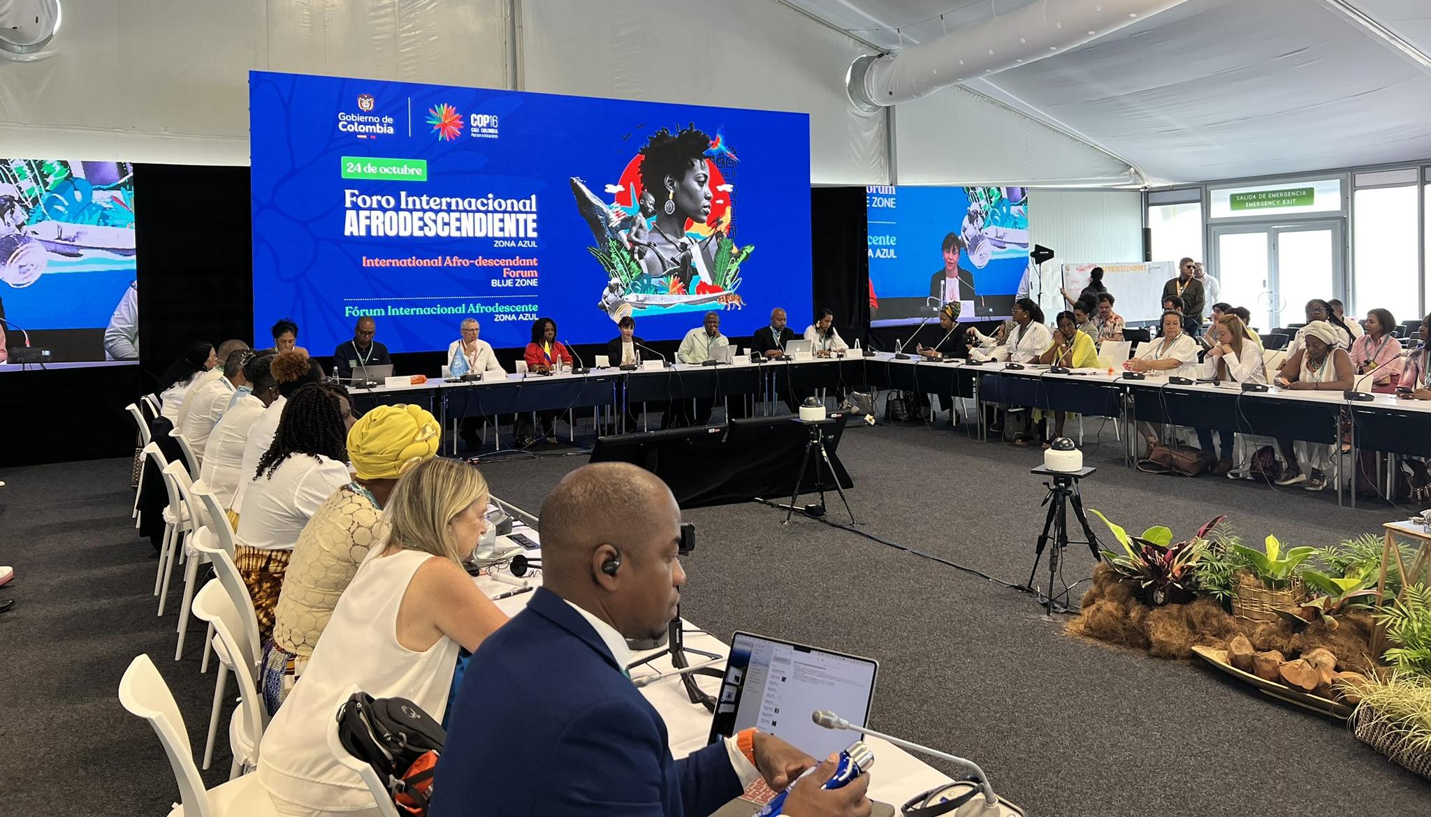 Foro Internacional Afrodescendiente en Zona Azul. 