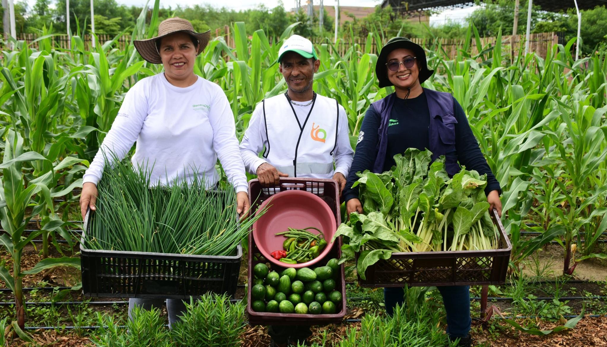 Se han recogido 12.3 kilos de frutas y verduras.