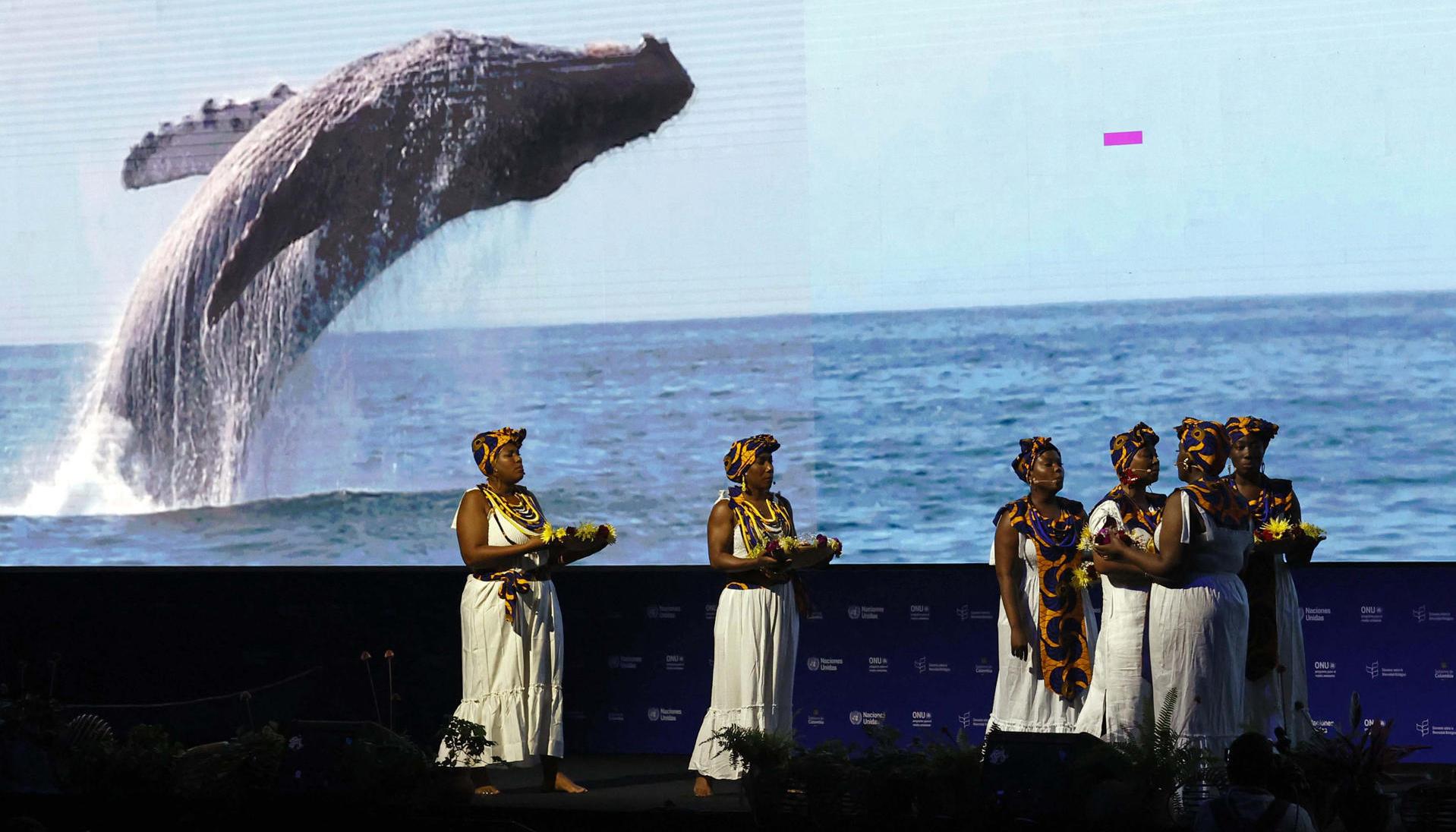 Aspecto de la inauguración del COP16, en Cali. 