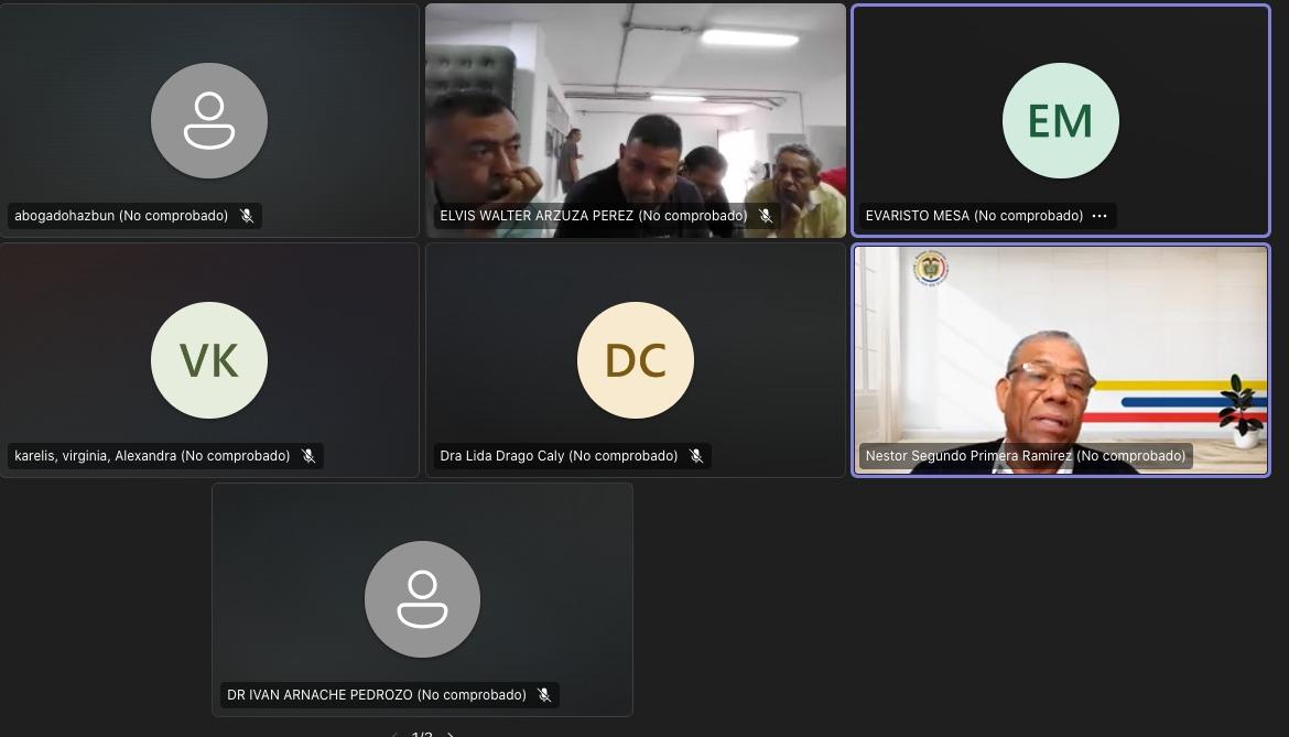 Aspecto de la audiencia virtual de este lunes. 