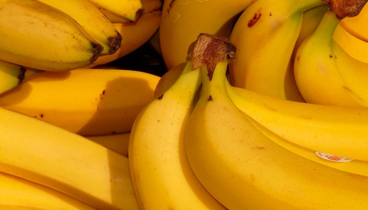 Exportación de banano creció 48,6%.