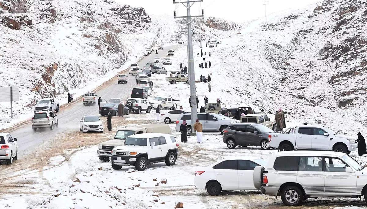 Imagen de la nevada.