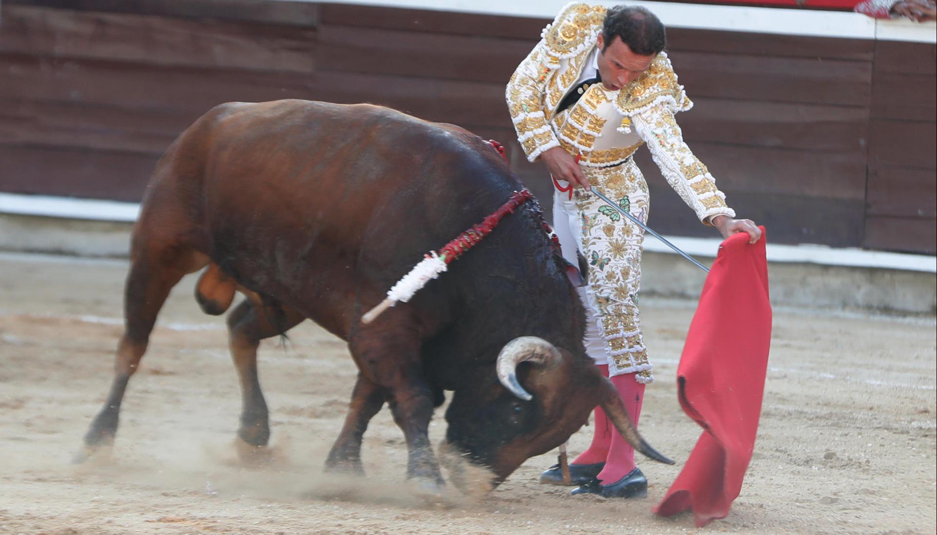 El torero español Antonio Ferrera en la Feria de Cali. 