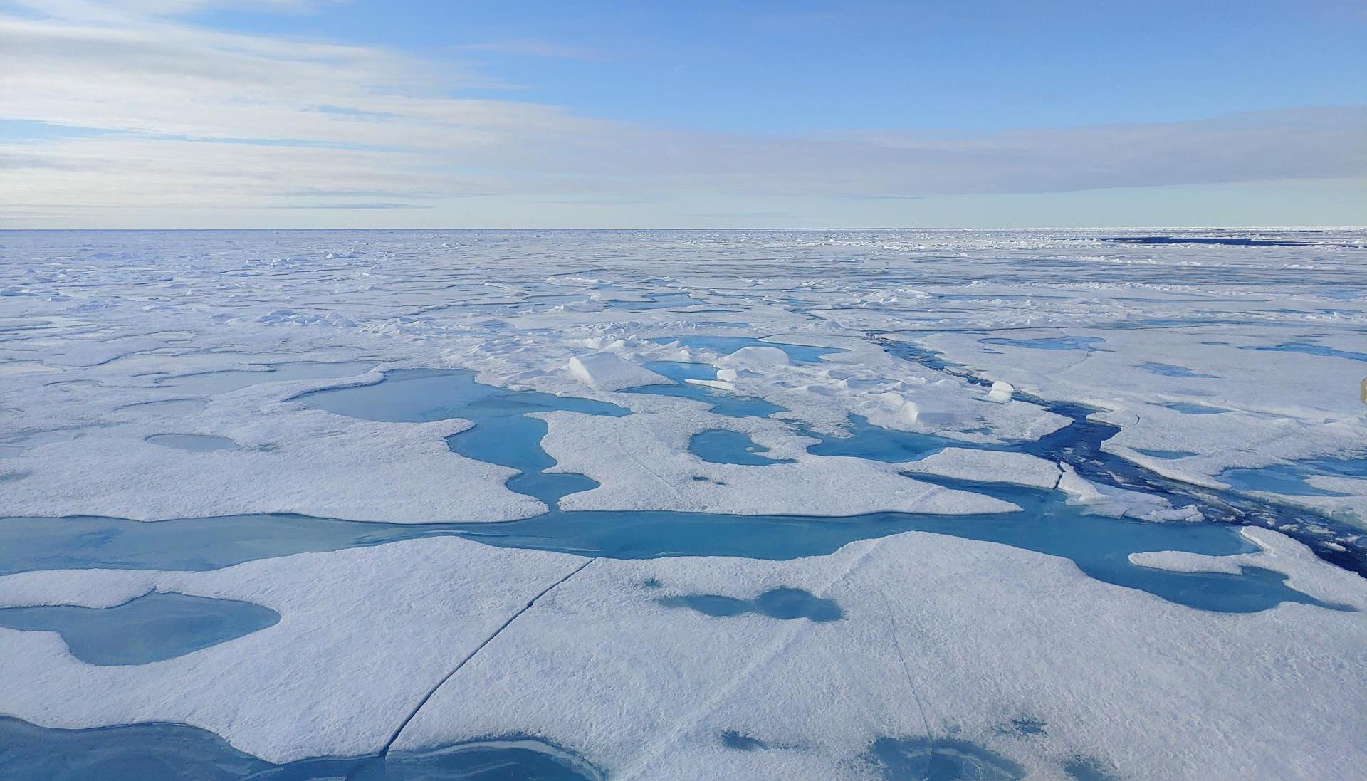 El hielo marino del Ártico se derrite a un ritmo sin precedentes.