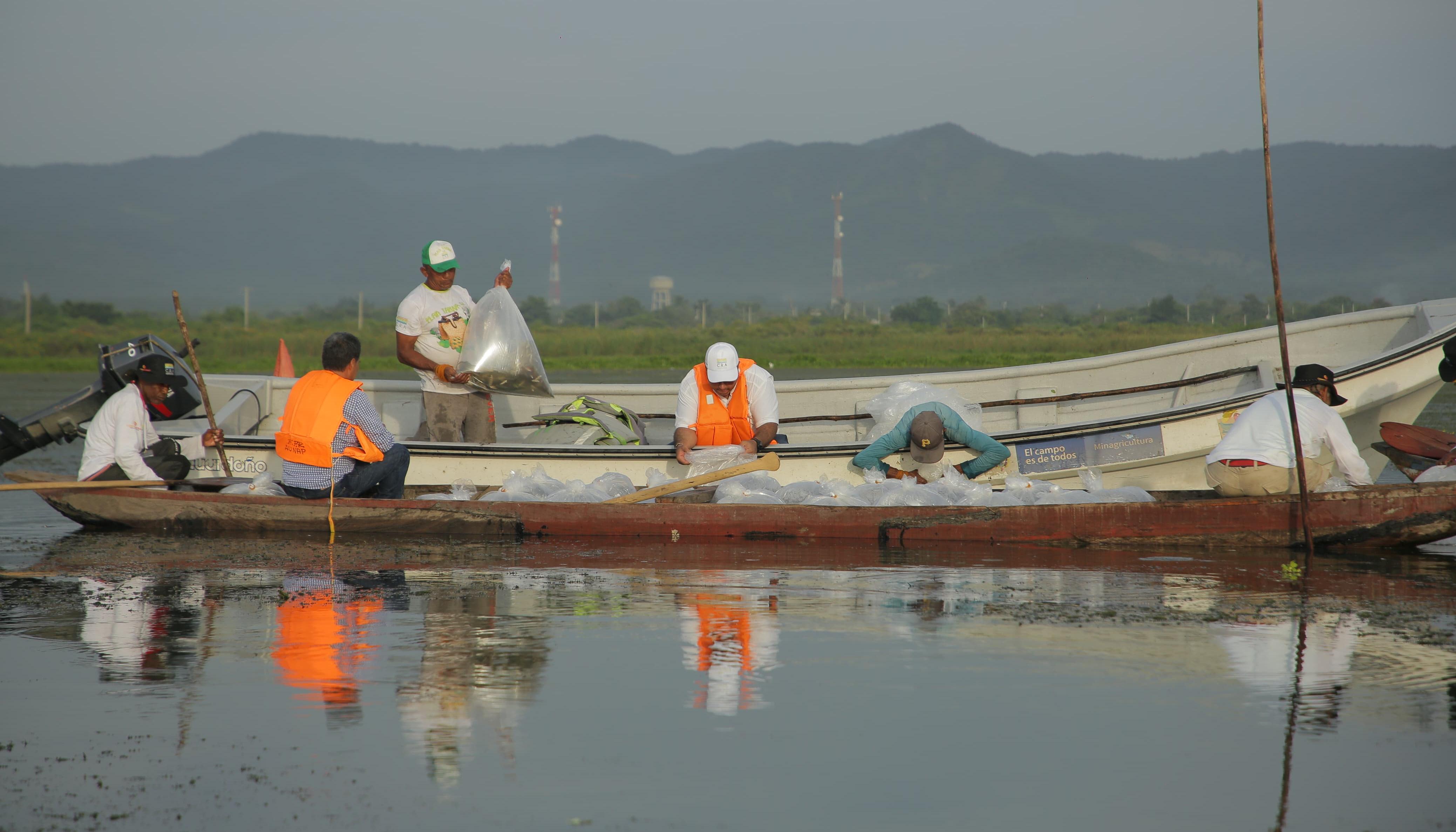 Jornada de repoblamiento de alevinos en el embalse El Guájaro.