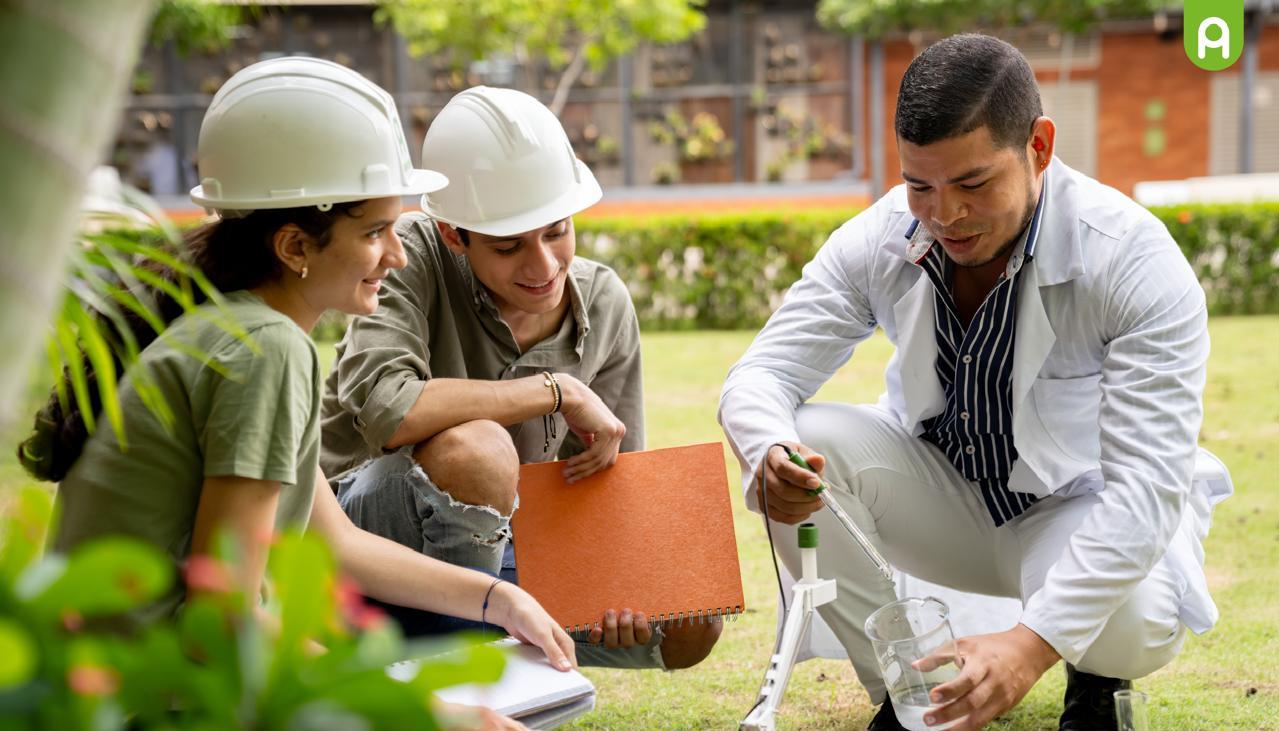 Imagen de referencia.