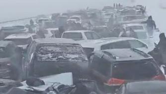 Los carros colisionaron en una carretera.