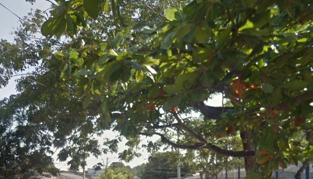 Lugar de los hechos en el barrio Rebolo.