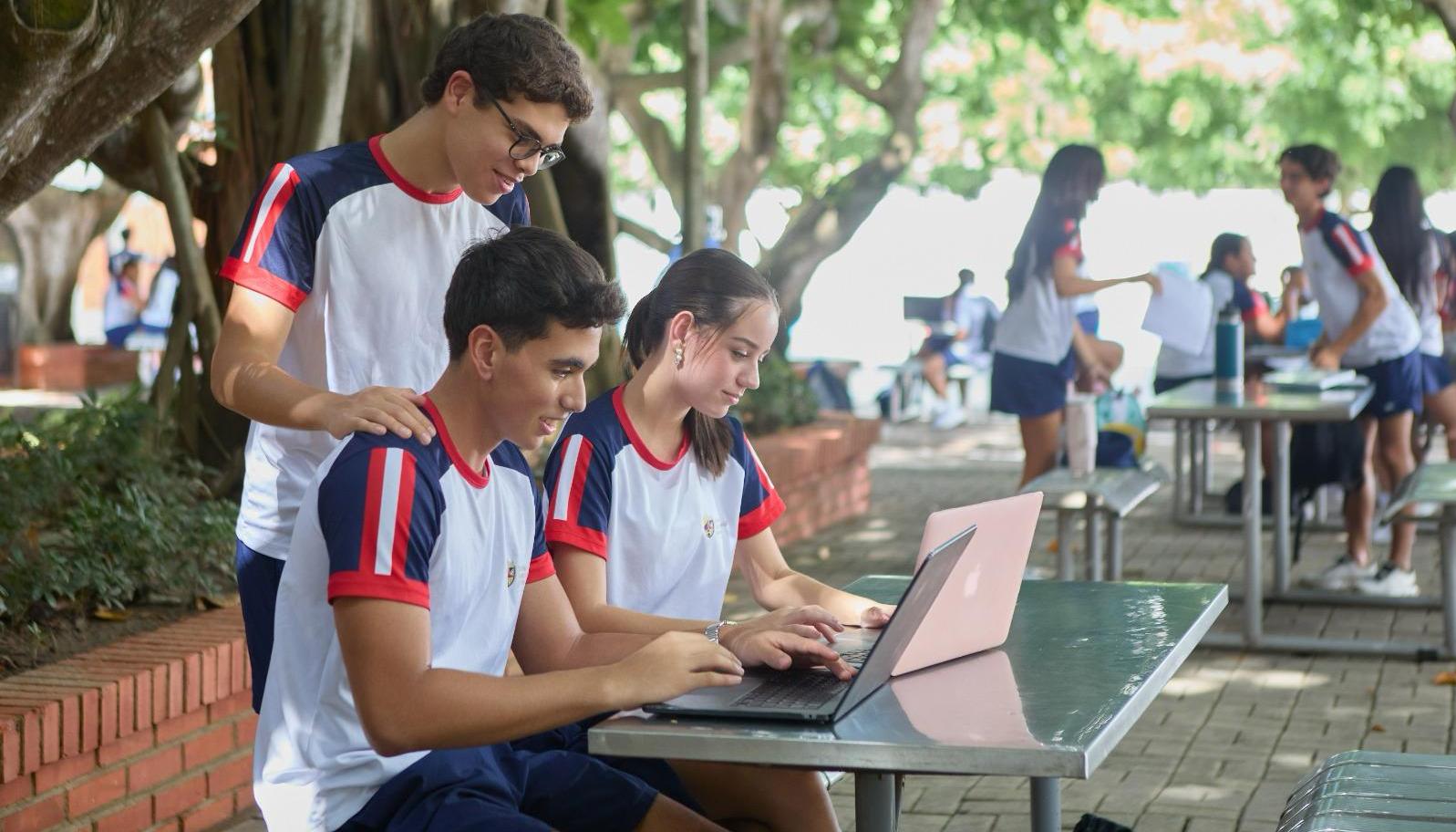 Imagen de referencia.