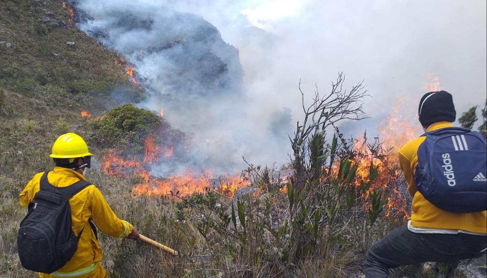 Imagen de referencia.