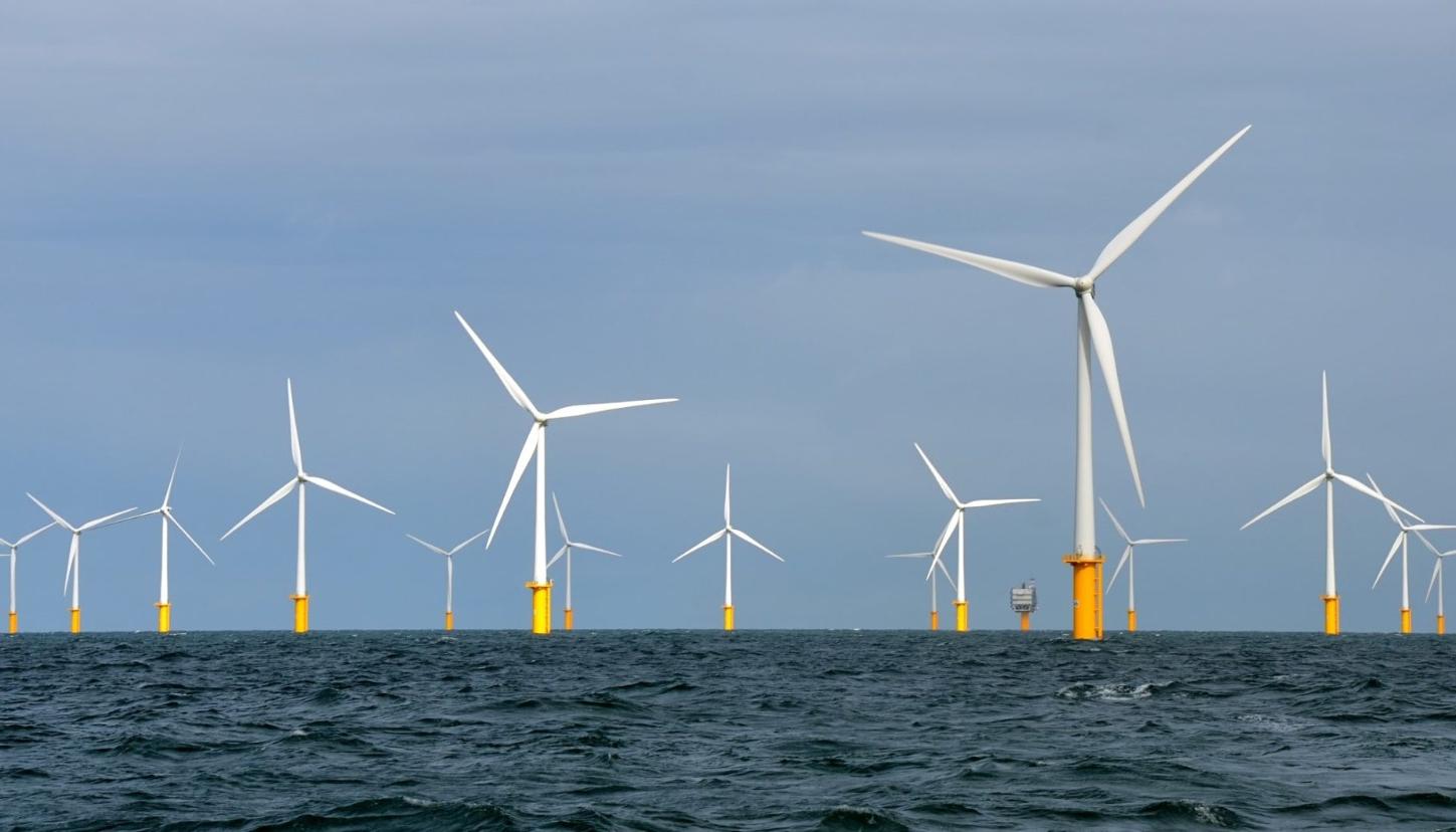 Imagen de referencia.