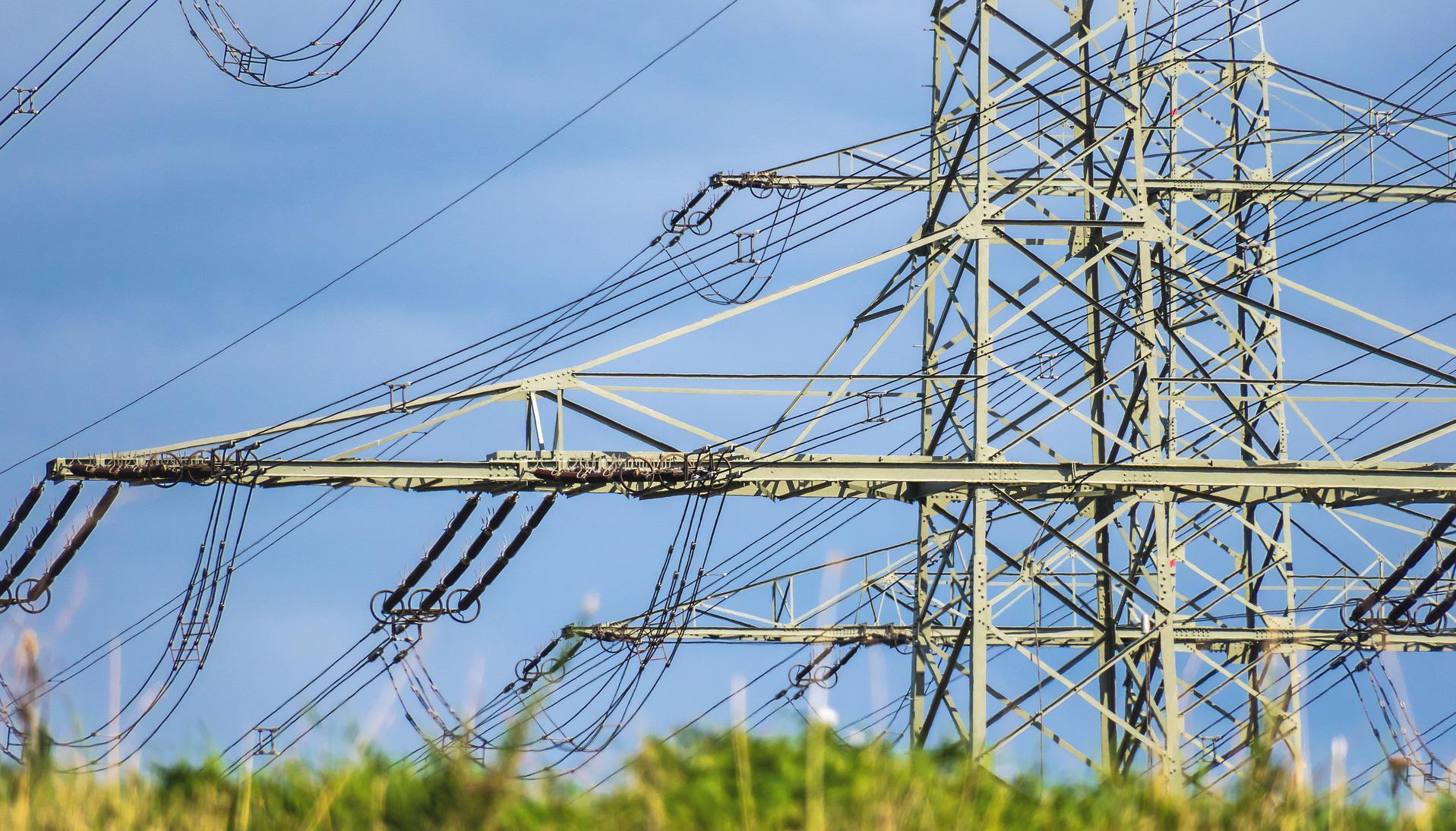 Imagen de referencia.