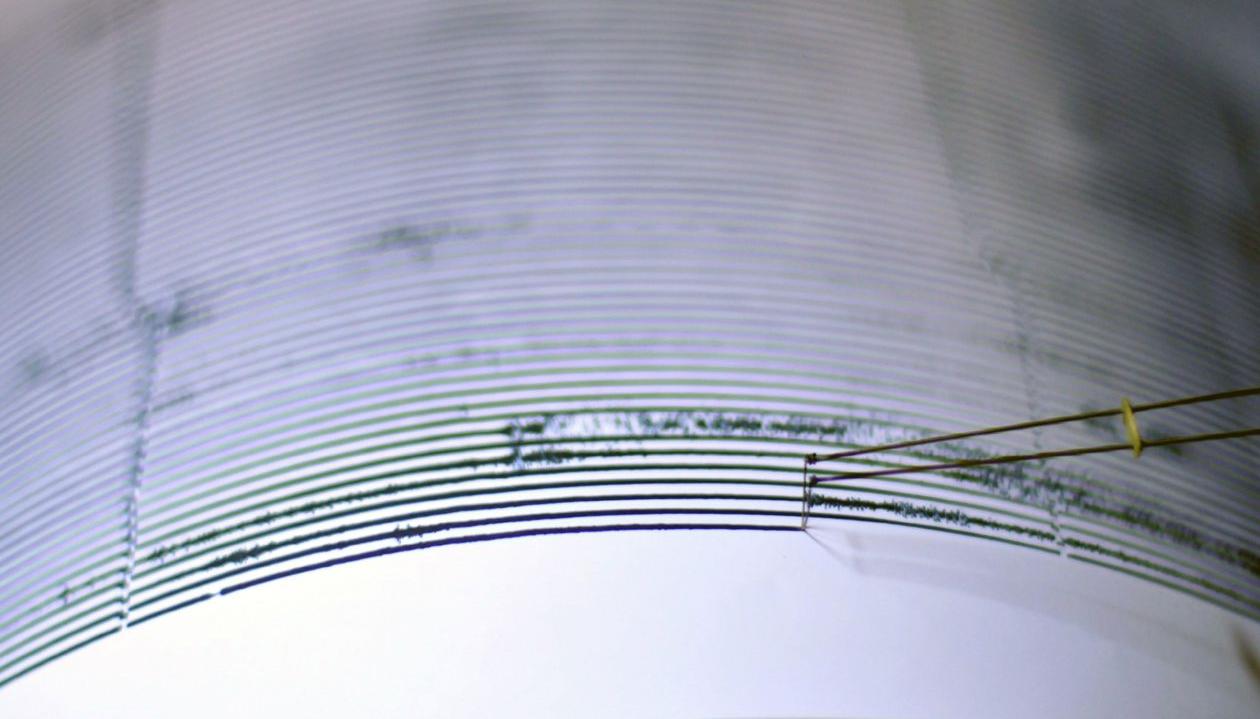 Imagen de referencia.