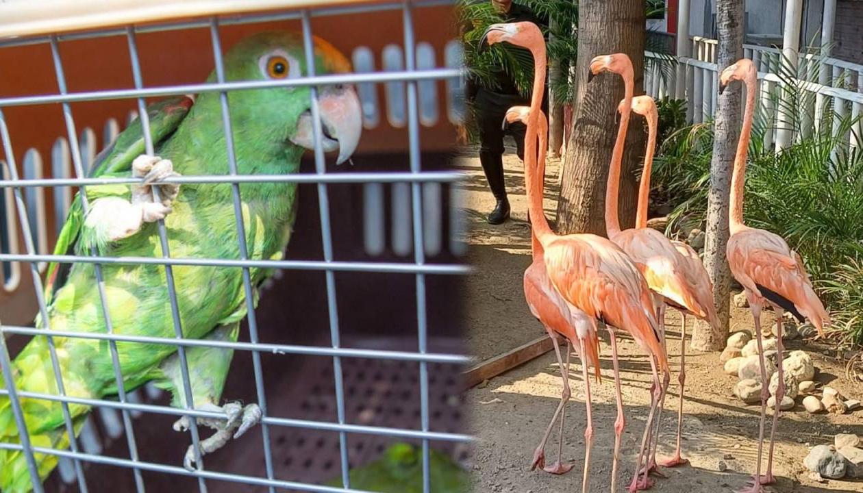 Estaban en un hotel de Santa Marta.
