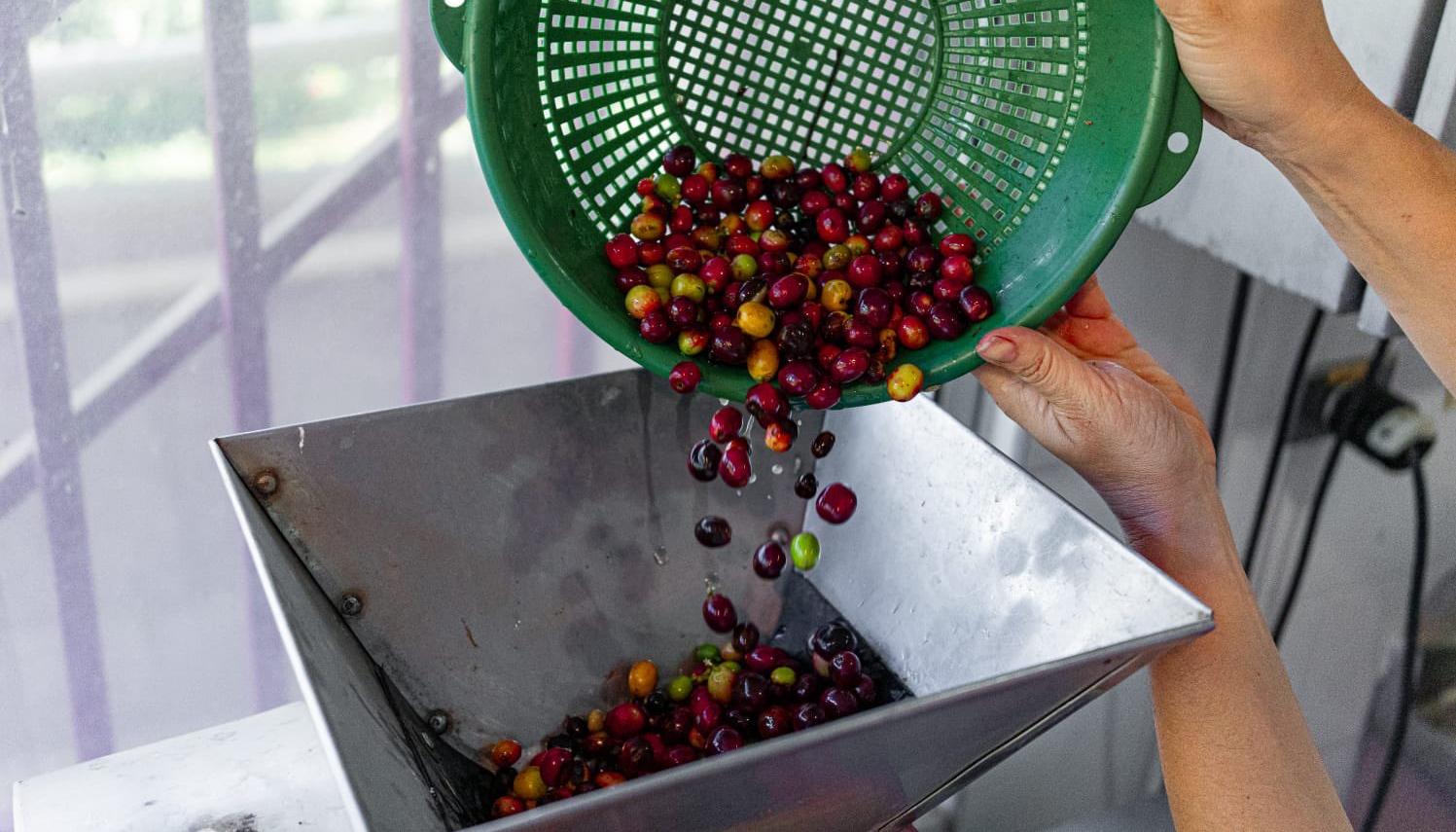 Café en Colombia.