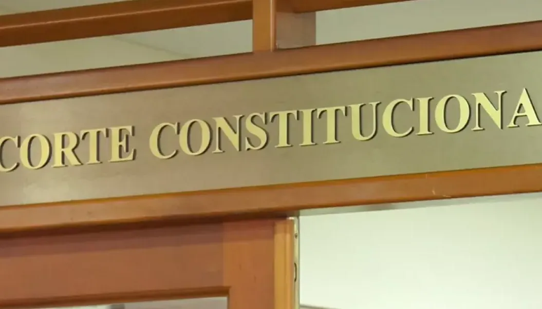 Corte Constitucional.