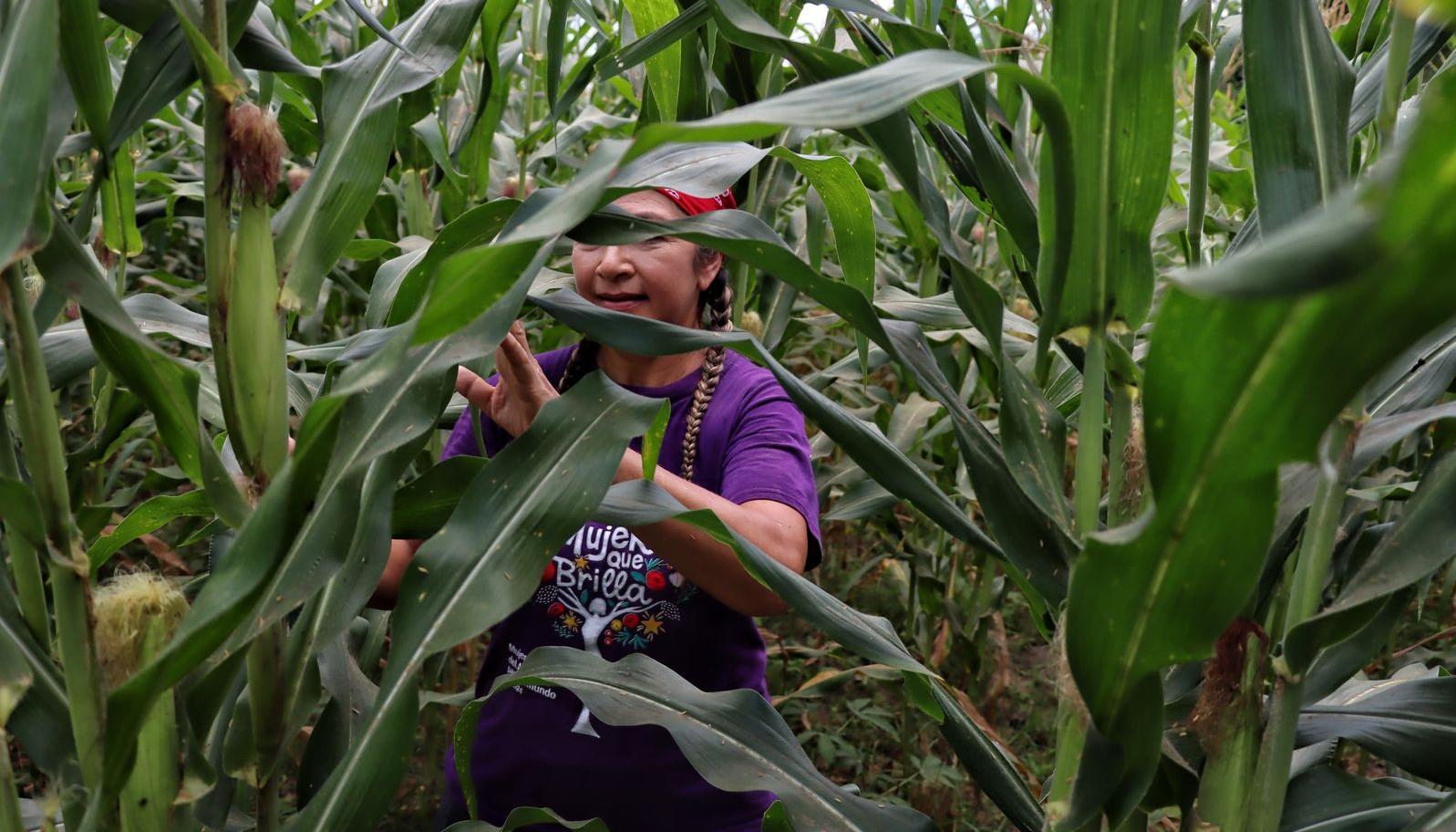 Mujer atlanticense en proyectos agrícolas