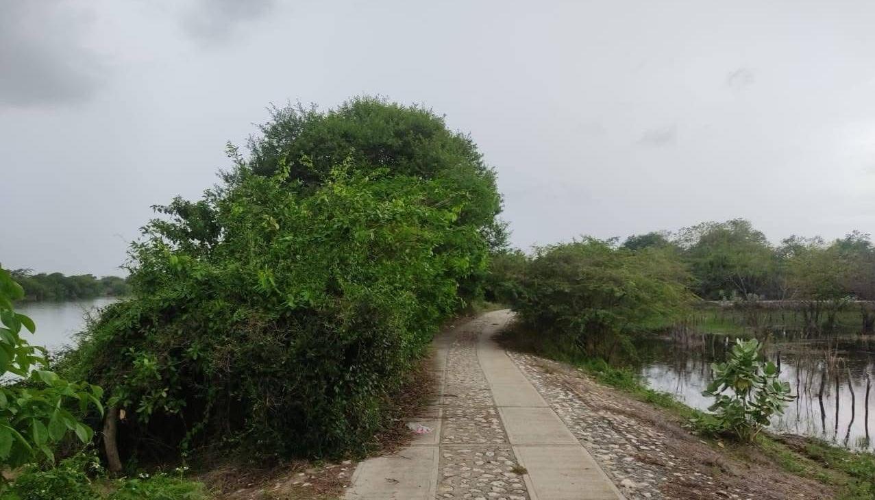 Lugar donde fue encontrado el cuerpo.