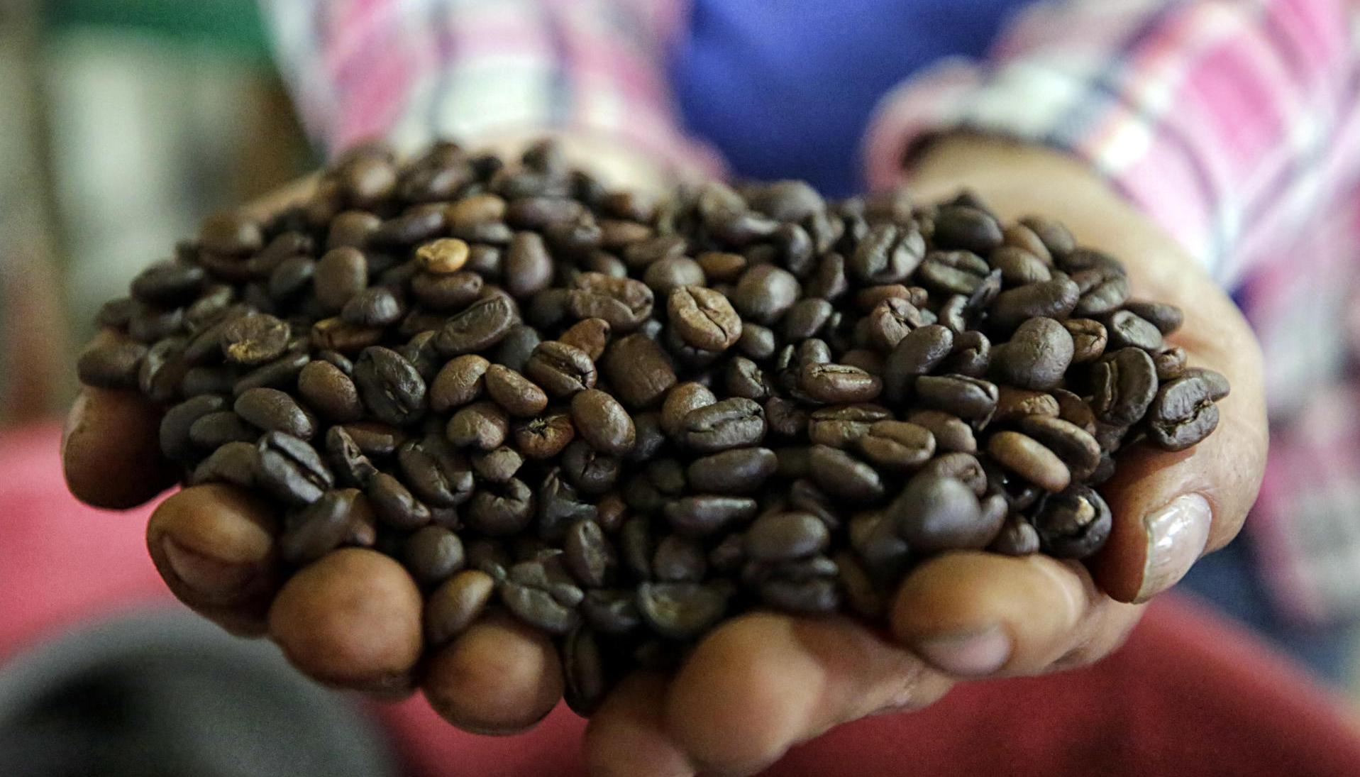 Yolanda Romero sosteniendo granos de café.
